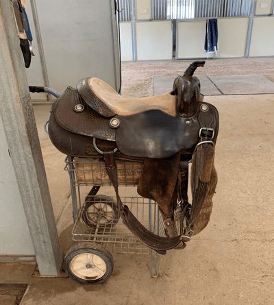 Saddles Horse Ranch In Southern California